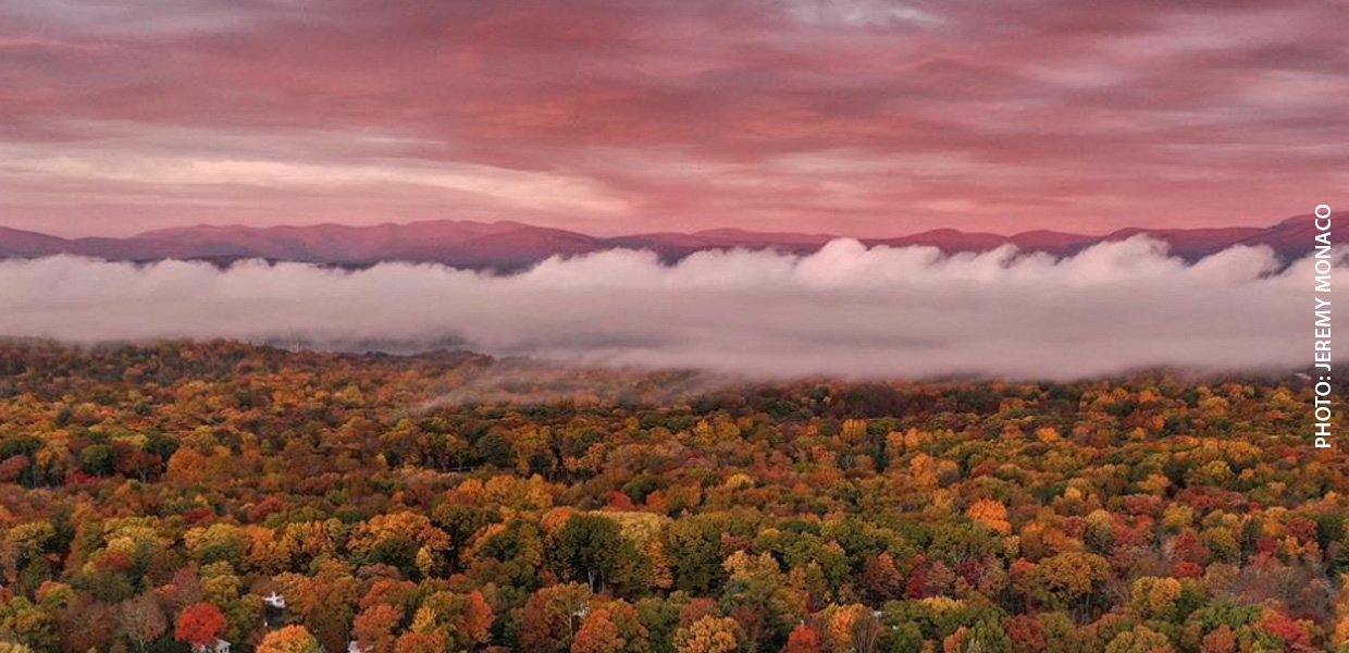 photo of foggy fall landscape